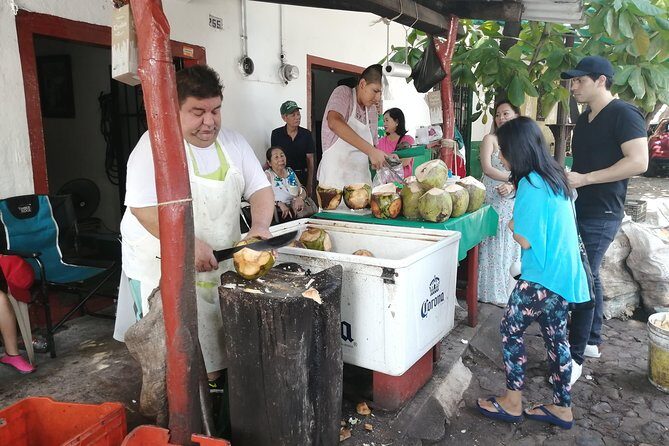 1 to 10 Passengers Vallarta Private City Tour - Conchas Chinas, Los Arcos, and Mismaloya: scenic photos without the long detour