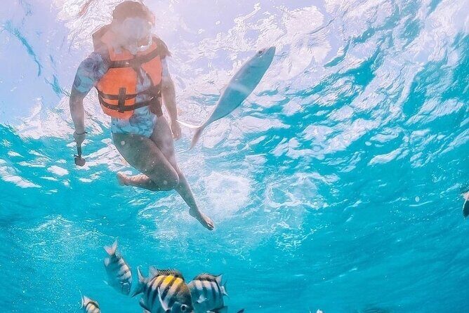 Boat and Snorkel Tour to 5 Islands of Los Arcos - Meeting in Zona Romántica and the public-bus reality check