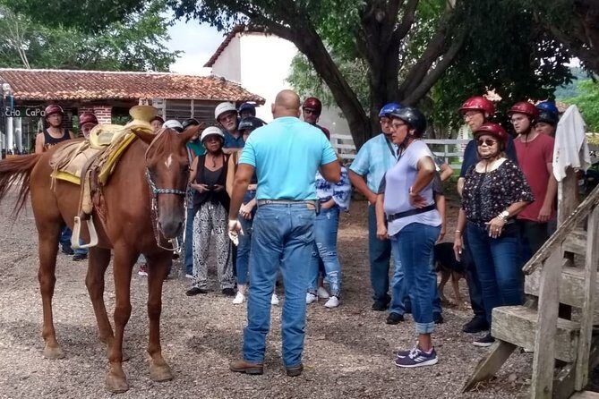Experience Horse Riding, ATV & Zipline from Puerto Vallarta - A Full Day at Rancho Capomo: ATV, Zipline, Horses, and a Waterfall