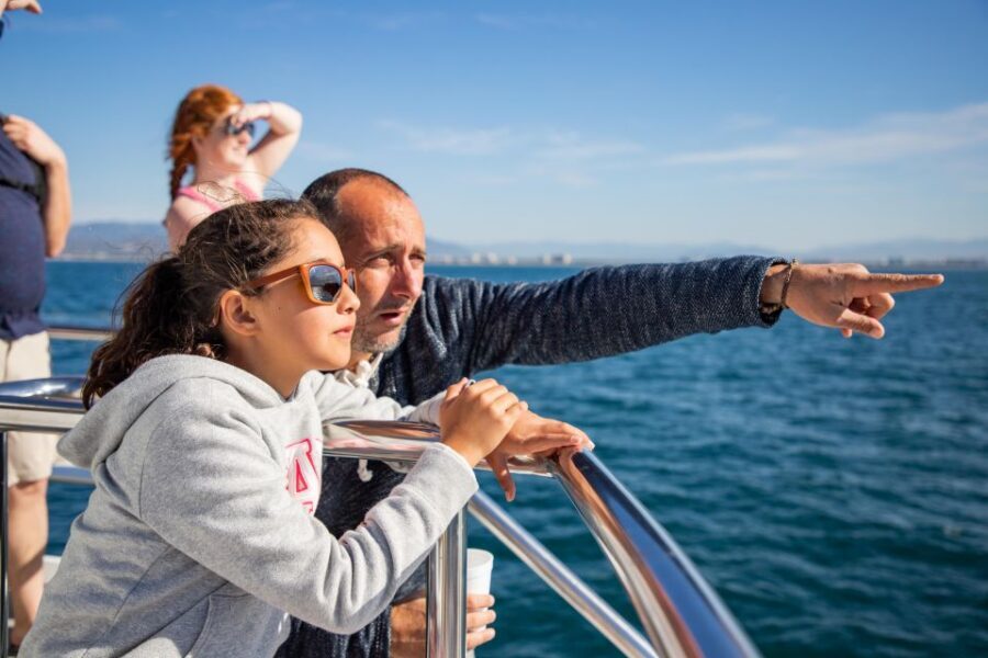From Puerto Vallarta/Nuevo Vallarta: Whale Watching Cruise - Price and value: what $103 buys you in real terms
