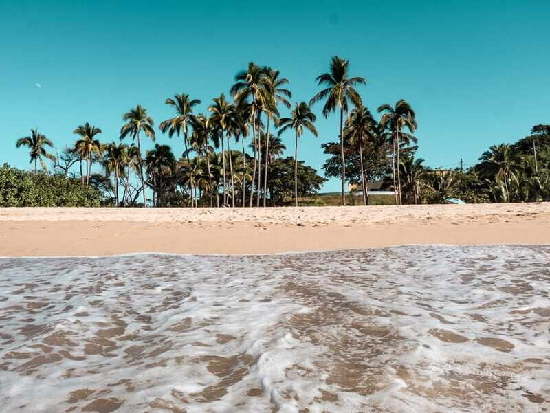 From Puerto Vallarta: San Pancho and Sayulita - Should You Book This Puerto Vallarta to San Pancho and Sayulita Tour?
