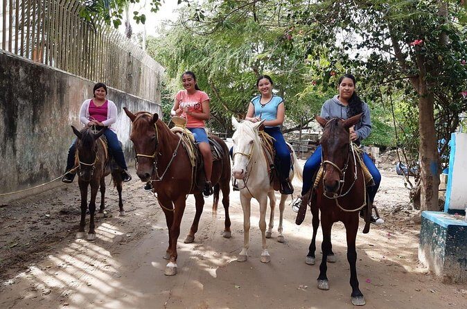 Fun Horseback Tour in Mismaloya - Who this tour suits best (and who might rethink it)