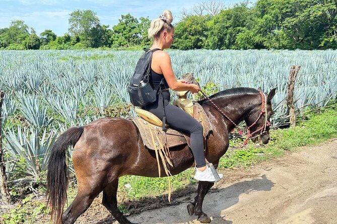 Horseback Riding & Swim: Tequila Tasting, BBQ & Margaritas - Who should book this horseback, swim, and tequila mix