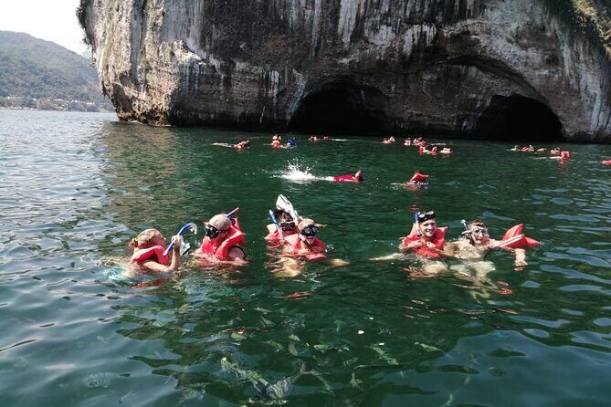 Private Snorkeling Tour to Los Arcos - Puerto Vallarta Wildlife on the Water: Beyond Just Fish