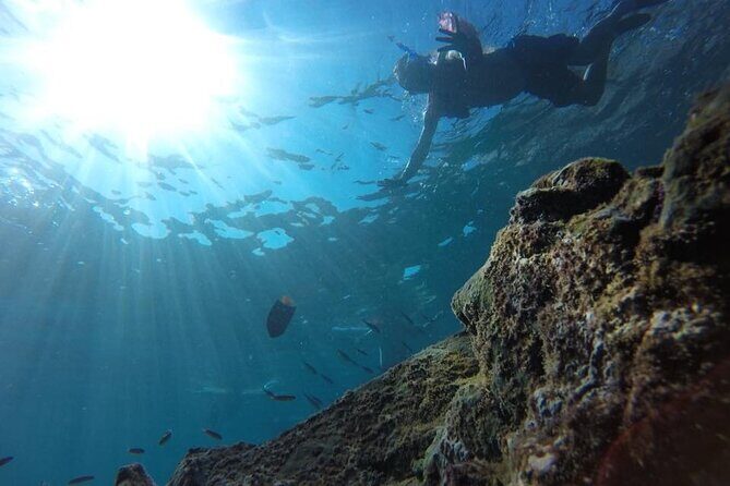 Private Tour Hidden Beach - Nopalera Beach Segments: Short Swims, Clear Limits