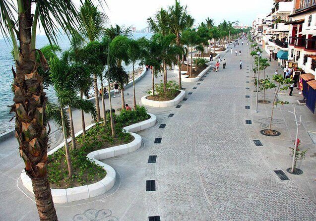 Private Tour of Puerto Vallarta and the Subtropical Forest - Quick hits worth your time