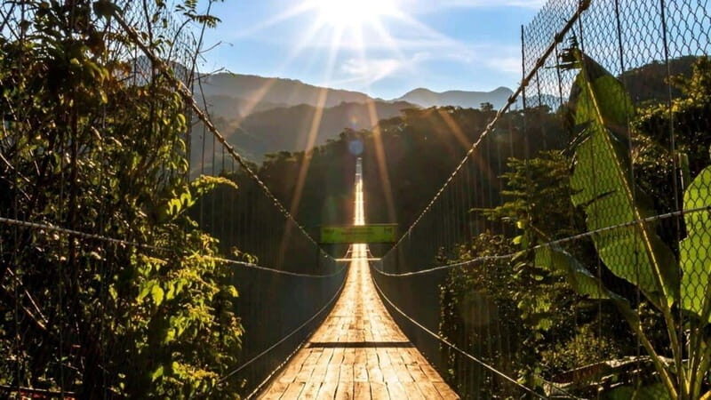 Puerto Vallarta: Canopy River + Jorullo Bridge Pass - The Pre-Zip Setup: Welcome Drink, Mule Ride, and Park Intro