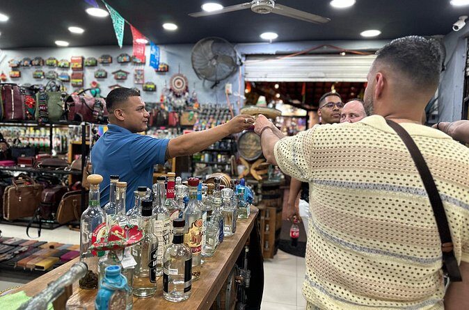 Puerto Vallarta Gay Romantic Zone Indepth Tour - Who this tour is best for
