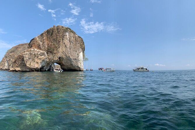 Puerto Vallarta snorkel tour at Los Arcos - The 9am ride: Ameca River dolphins and winter wildlife sightings