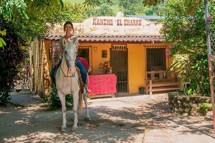 Puerto Vallarta: Tropical Forest Horseback Ride - The Ride Route: From River Trail to Jungle Paths