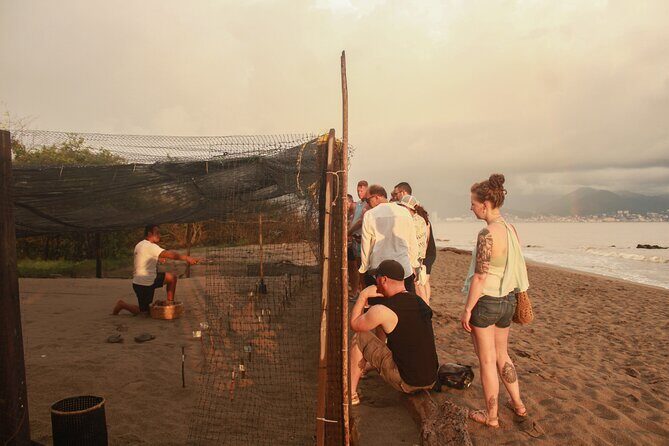 Release of Sea Turtles in Camp Tortuguero - Stop 1: Meet Your Guide and Ride to the Beach Campsite (About 15 Minutes)