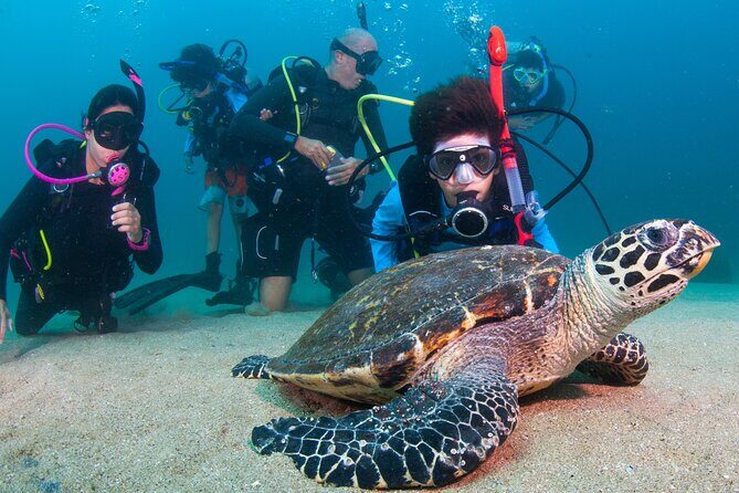 Scuba Diving Puerto Vallarta Undersea Arcos or Marietas - Marietas Islands snorkeling and the optional Hidden Beach
