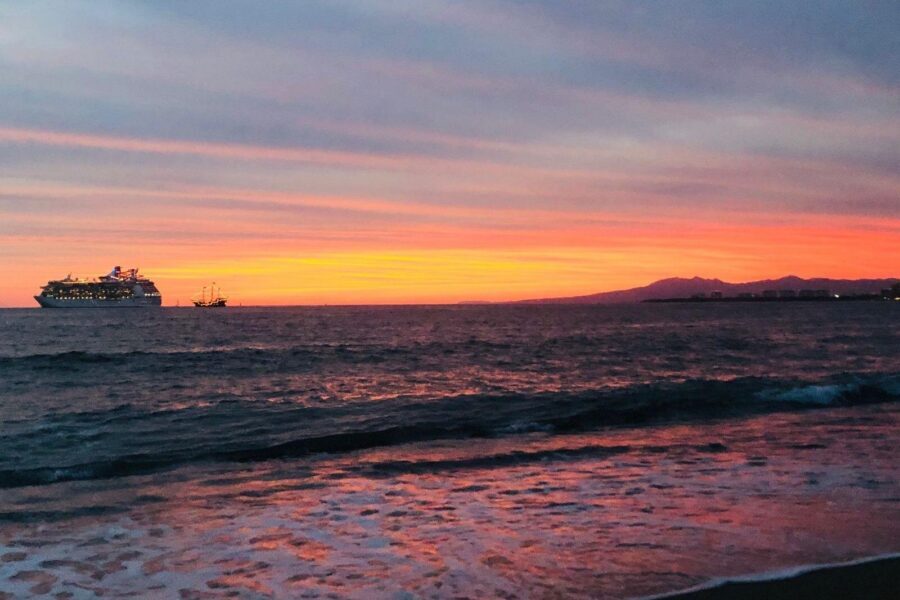 Sea Turtle Conservation Release Puerto Vallarta - Timing and Logistics That Make the Difference
